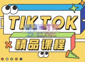 电商孵化中心·TikTok精品课程，教你玩转海外抖音，低成本创业，带您从0开始玩转TikTok-88项目资源库