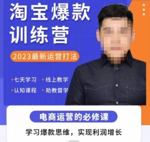 爱上黄昏·淘宝爆款训练营，2023最新运营打法，学习爆款思维，实现利润增长-88项目资源库