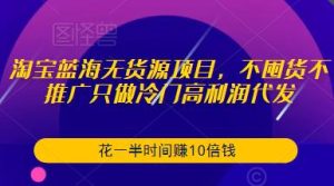 淘宝蓝海无货源项目，不囤货不推广只做冷门高利润代发，花一半时间赚10倍钱-88项目资源库