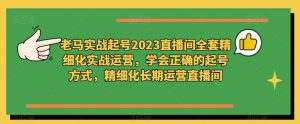 老马实战起号2023直播间全套精细化实战运营，学会正确的起号方式，精细化长期运营直播间-88项目资源库