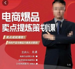 大圣·电商标品爆款卖点策划课，标品卖点成就爆款，可落地卖点提炼课-88项目资源库
