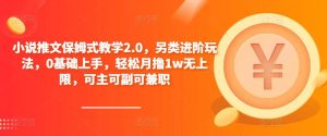 小说推文保姆式教学2.0，另类进阶玩法，0基础上手，轻松月撸1w无上限，可主可副可兼职-88项目资源库