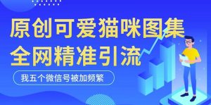 黑科技纯原创可爱猫咪图片，全网精准引流，实操5个VX号被加频繁-88项目资源库