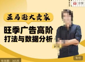 阿甘·亚马逊大卖家广告高阶打法与数据分析，走出传统广告误区；揭秘大卖惯用打法；数据驱动广告决策-88项目资源库