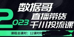 数据哥2023直播电商巨量千川付费投流实操课，快速掌握直播带货运营投放策略-88项目资源库