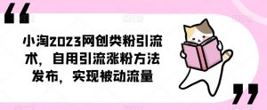 ​小淘2023网创类粉引流术，自用引流涨粉方法发布，实现被动流量-88项目资源库