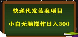 2023最新蓝海快递代发项目，小白零成本照抄也能日入300+-88项目资源库