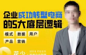 企业成功转型电商的5大底层逻辑，从模式、数据、用户、产品、营销5大板块，助你高效转型电商赛道-88项目资源库