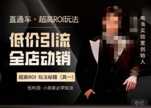 电商冰可乐·直通车·《低价引流·全店动销》，直通车·超高ROI玩法（其一）全店动销必学玩法-88项目资源库