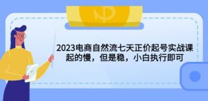 2023电商自然流七天正价起号实战课：起的慢，但是稳，小白执行即可！-88项目资源库