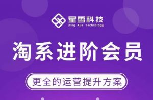 星雪·淘系进阶课程，快速提升突破技能流量瓶颈必备（更新2023年5月）-88项目资源库