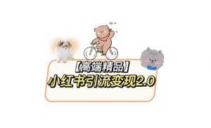 小红书最新引流变现教程，全网最新最详细的视频教程以及素材-第一资源库