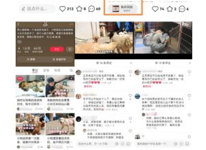 小红书蓝海类赛道：小动物打赏与购买变现副业项目，一条龙玩法分享给你！-88项目资源库