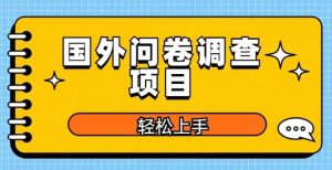 国外问卷调查项目，日入300+，在家赚美金【揭秘】-88项目资源库