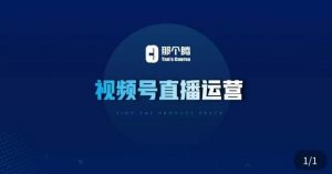 那个腾·视频号直播运营，​视频号直播推流逻辑/流量渠道解析/直播起号攻略/直播实操技巧-88项目资源库