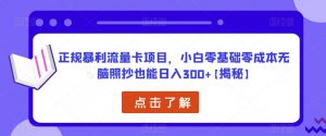 正规暴利流量卡项目，小白零基础零成本无脑照抄也能日入300+【揭秘】-88项目资源库
