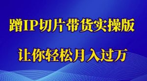 蹭这个IP切片带货实操版,让你轻松月入过万(教程+素材)-第一资源库