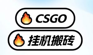 真全网独家CSGO挂G，最新玩法,单日捡漏1K+，不用电脑，不用打游戏【揭秘】-88项目资源库