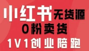 小红书无货源0粉电商课,开店准备、选品策略、笔记撰写、视频剪辑、数据分析、账号打造、资料文档(更新)-88项目资源库