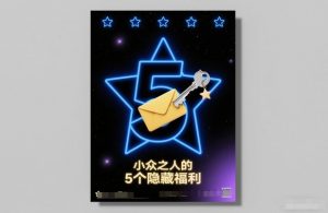 付费文章:小众之人的5个隐藏福利-88项目资源库