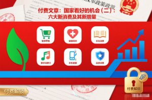 付费文章:国家看好的机会(二):六大新消费及其新增量-88项目资源库