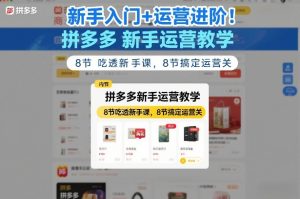 新手入门+运营进阶！拼多多新手运营教学，8节吃透新手课，8节搞定运营关-88项目资源库