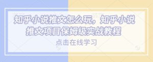 知乎小说推文怎么玩，知乎小说推文项目保姆级实战教程-88项目资源库
