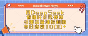 用DeepSeek做哪吒走秀视频,引爆流量涨粉利器,单日变现1k-88项目资源库