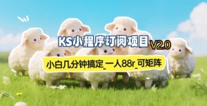 【新一期】小程序订阅_小白几分钟70-80r，可矩阵（已测到账）-88项目资源库