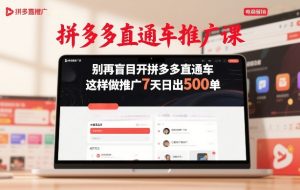 拼多多直通车推广课，别再盲目开拼多多直通车，这样做推广7天日出500单-88项目资源库