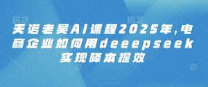 天诺老吴AI课程2025年,电商企业如何用deeepseek实现降本提效-88项目资源库