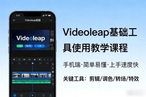 Videoleap基础工具使用教学课程,手机端视频剪辑教学,简单易懂,上手速度快-88项目资源库