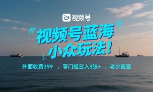 视频号蓝海小众玩法！外面收费399，零门槛日入3张+，老少皆宜-88项目资源库