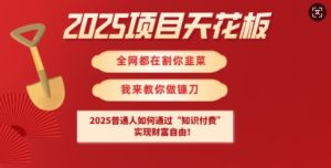 2025项目天花板普通人如何通过知识付费,实现财F自由【揭秘】-88项目资源库
