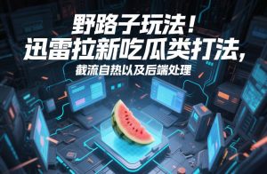 野路子玩法！迅雷拉新吃瓜类打法，截流自热以及后端处理-88项目资源库