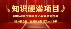 知识硬灌，10秒钟让你记住一个单词，3分钟一个视频，日入多张不是梦-88项目资源库
