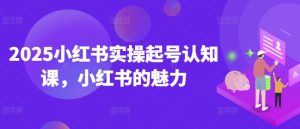 2025小红书实操起号认知课，小红书的魅力-88项目资源库