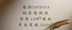 用DeepSeek做疗愈视频，条条10W+爆款，单日变现多张-88项目资源库