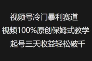 视频号冷门暴利赛道视频100%原创保姆式教学起号三天收益轻松破千-88项目资源库