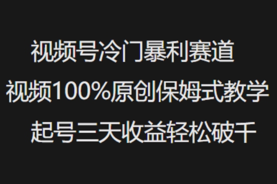 视频号冷门暴利赛道视频100%原创保姆式教学起号三天收益轻松破千-88项目资源库