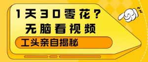 1天30零花?无脑看视频,大佬亲自揭秘-88项目资源库