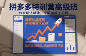 拼多多特训营高阶班，独家玩法赋能，突破运营天花板（更新26年2月）-88项目资源库