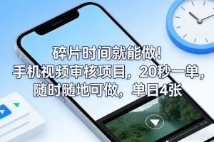 碎片时间就能做！手机视频审核项目，20秒一单，随时随地可做，单日4张+【揭秘】-88项目资源库