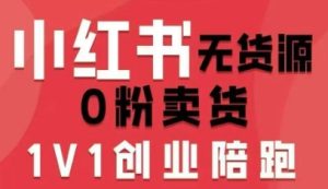 小红书无货源0粉电商课，开店准备、选品策略、笔记撰写、视频剪辑、数据分析、账号打造、资料文档（更新26年2月）-88项目资源库