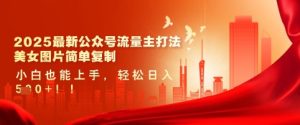 2025最新公众号流量主打法,美女图片简单复制,小白也能上手,轻松日入5张-88项目资源库