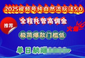2025视频号纯自然流玩法5.0，全程托管高佣金，极简爆款门槛低，单日收益多张【揭秘】-88项目资源库