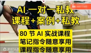 AI指令实战课，课程+案例，80节AI实战课程，笔记指令随意享用，课程指令随意享用-88项目资源库