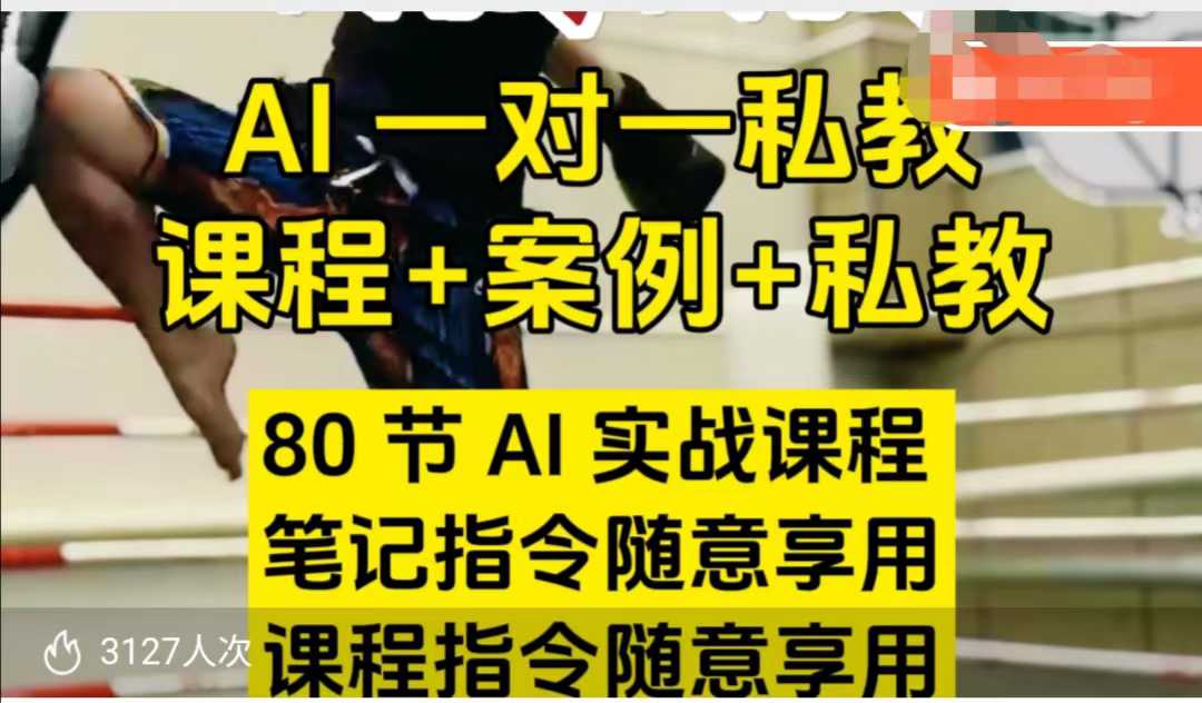 AI指令实战课，课程+案例，80节AI实战课程，笔记指令随意享用，课程指令随意享用-88项目资源库