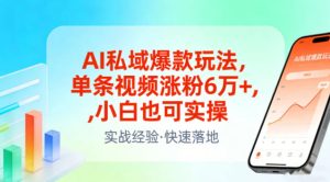 AI私域爆款玩法，单条视频涨粉6W+，小白也可实操-88项目资源库