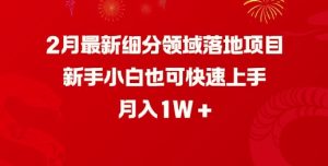 2月最新细分领域落地项目，新手小白也可快速上手，月入1W-88项目资源库